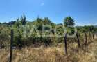 Teren extravilan 2700 mp oportunitate investitie Calea Popla