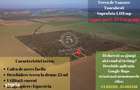 Ocazie- Teren Intravilan de Vanzare- Peris Snagov- Doar 10 euro/mp - 8
