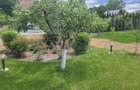 Teren intravilan 530mp, zona Barati - 7