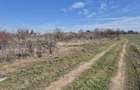 Trestieni - Ulmi, vanzare teren 1.663mp, intravilan - 10