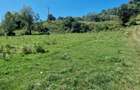 Vindem 17940 mp Salatruc - Vama - Bucovina - 2