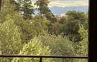 Apartament 3 camere Sub Arini | 100 mp | Terasa 15 mp - 2