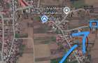 Teren intravilan 964 mp, ureche?ti strada lalelelor | utilita?i la poarta - 2