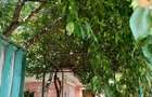 Vand casa zona Salaj sector 5 - 5