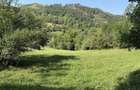 Teren intravilan 4.128 mp Ocolis Alba priveliste superba curent la proprietate - 2