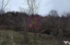 Teren de vanzare in Brebu - Raul Doftana - 3