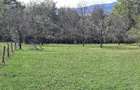 Teren de 1800 mp, în Breaza de Sus - 4