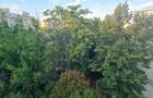 Apartament vanzare Mazepa, Decomandat, 3 camere, 2 bai, 2 balcoane, zona linistita - 7