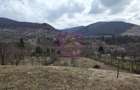 Teren intravilan de vanzare in Valea Doftanei - 13