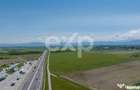 Teren 24.348 mp cu PUZ in curs Sanpetru | Proiect rezi - 8