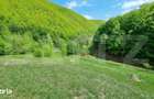 EXCLUSIVITATE! Teren extravilan, 5.400 mp, Comuna Iara, Valea Vadului - 1