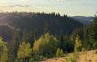 Teren Maguri ideal pt cabana munte cu utilitati trase - 4