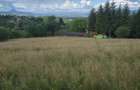 Vand teren intravilan 2700 mp in Bran jud Brasov