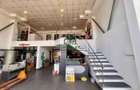 Spatiu comercial/birouri/Zona Raureni, Ramnicu Valcea | 239 mp - 11