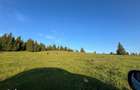 50 hectare teren | Moldova-Sulita | Potential turistic si agricol