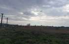 Teren intravilan industrial 26112 mp intre Selgros si Marso - Ernei - 3