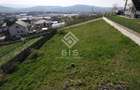 Teren de vanzare 10 ari - zona LEONI - 8