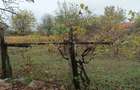 vand casa cu curte si teren in Padina Mica, Mehedinti - 3