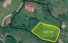 Vand teren 2000 mp intravilan zona Sohodol , Bran - 1