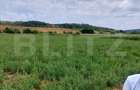 De vanzare teren Fundatura 27500mp - intravilan - 4