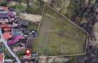 Casa din caramida cu teren 1 hectar | Alunis | 90.000 - 9