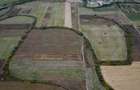 Teren agricol de 34.500mp in Albina, Jude?ul Timi? - 4