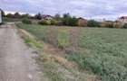 COSERENI (IL) - SE VINDE TEREN 2000 MP LA SOS BUCURESTI -URZICENI - 4