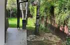 Casa/vila P+1+M Bucurestii Noi - 3