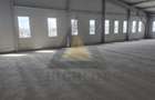 2750 MP HALA BALOTESTI| 5170 MP TEREN| A3| A0| DN1 - 6