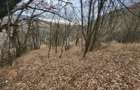 Teren de vanzare intravilan, 10 000 Mp , Sighisoara - 4