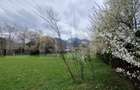 Teren intravilan cu 2 deschideri la drum 35 m, 4300 mp, Baciu Sacele - Brasov - 3