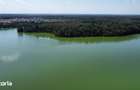 Teren intravilan construibil 460 mp | Branesti (zona Lac Branesti