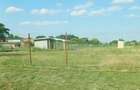 Proprietar, vand teren intravilan Bobda 1439 mp - 2