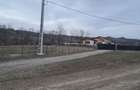 Teren de 10000 mp, în Berevoești - 1