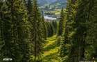 FILM!Teren 7.800mp,fosta partie de schi,investitie turisticaagrement,L - 2