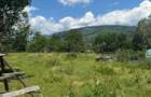 Oaza de lini?te in Valea Doftanei Teren plat - 1