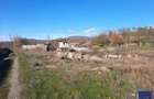 Spatiu de productie, fosta balastiera, Conop, 9100 mp - 1