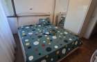 Apartament 3 camere Craiovei - 6