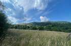 Teren cu poten?ial turistic, cadru natural rar, 20.000 mp Sacuieu - 6