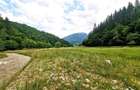 Zarnesti-Barsa Fierului-Teren 1.893 mp pentru Casa de vacan?a, A-frame - 10