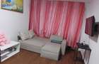 Apartament Micro 6 langa Restaurantul Vatra