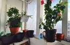 Apartament 4 Camere,13 Septembrie,bl.1988,DECOMANDAT,Amenajat,boiler,2 bai - 10