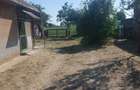 Vand casa la Piscolt - 3