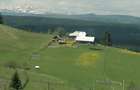 Teren de 45000 mp, în Ortoaia - 3