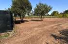 Teren intravilan 610 mp + cota drum | Ciofliceni - Snagov | Toate utilitatile la 100 m - 4