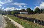Proprietate cu Doua Case - 2