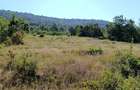 Teren extravilan (front intravilan) 3016 mp | Sebi?, jud. Arad - 2