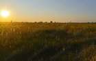 Vand teren agricol, 2ha, comuna Tamna, sat Colaret, MH - 4