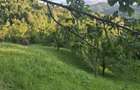 Teren de 2700 mp, în Valea Doftanei