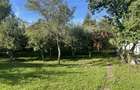 Casa de vanzare in Breaza (centru) - 5